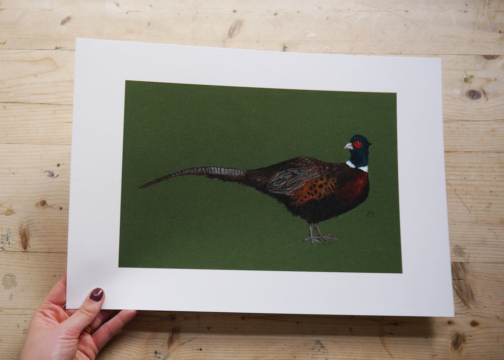 Pheasant Art Print