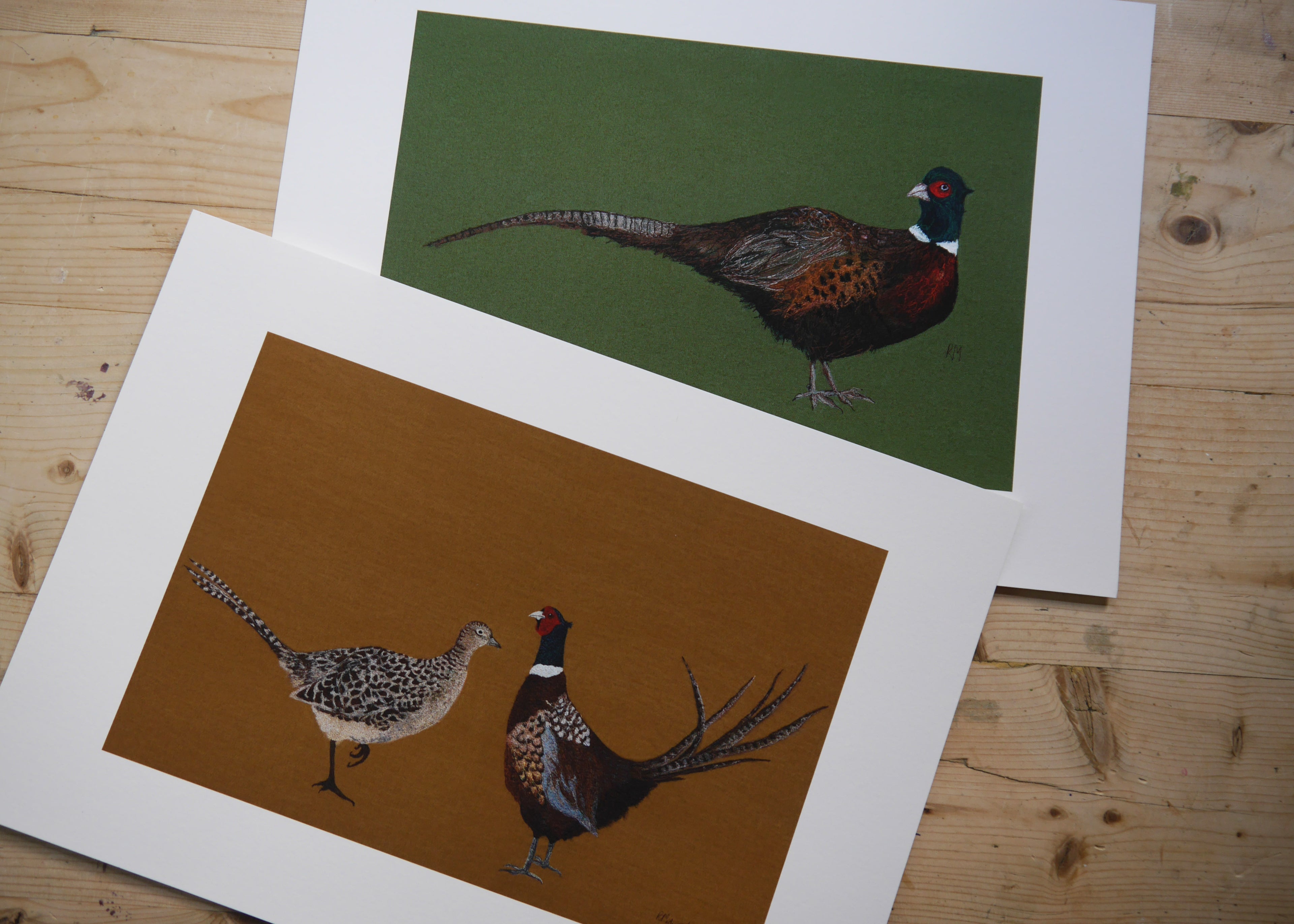 Pheasant Art Print