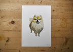 Pomeranian Dog Print