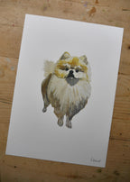 Pomeranian Dog Print