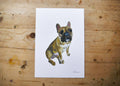Pug Dog Print
