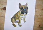 Pug Dog Print