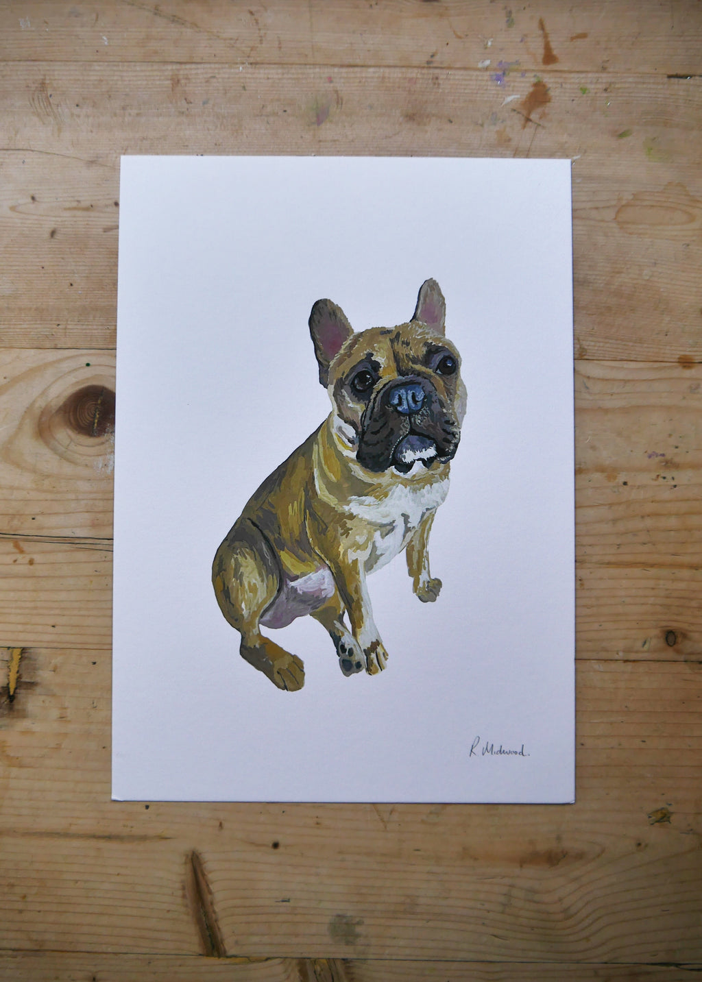 Pug Dog Print