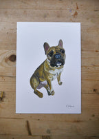 Pug Dog Print