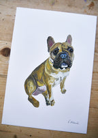 Pug Dog Print