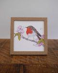 Robin Small Framed Print