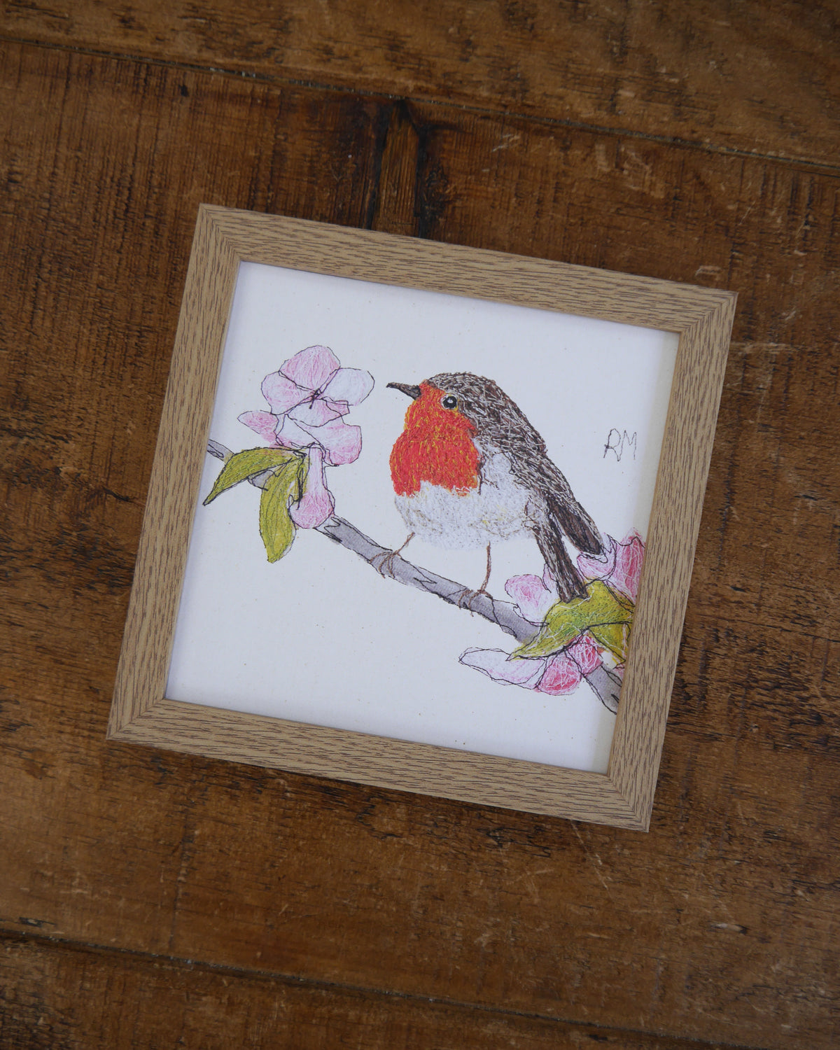 Robin Small Framed Print