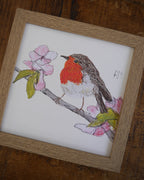 Robin Small Framed Print