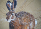 Running Hare Art Print