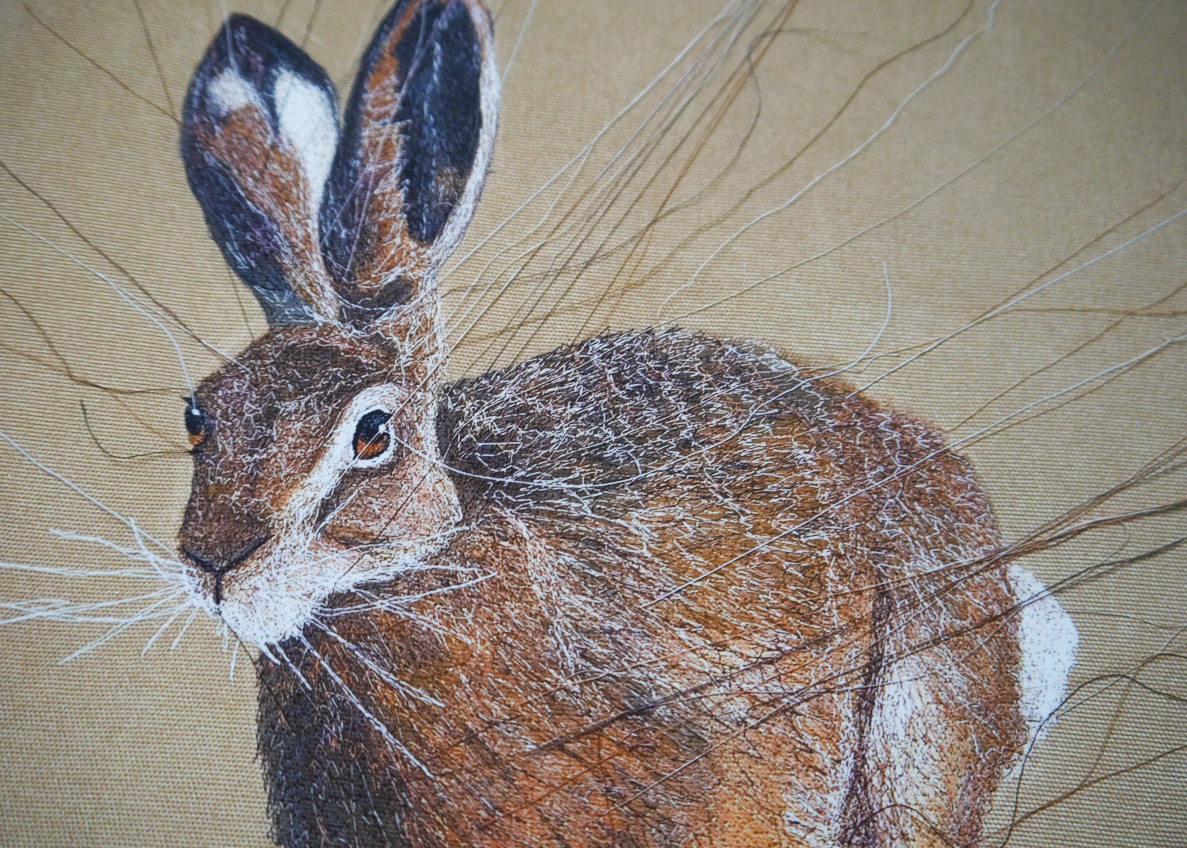Running Hare Art Print