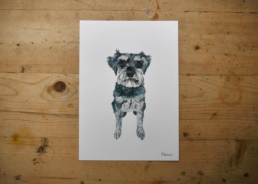 Schnauzer Dog Print