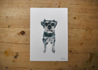 Schnauzer Dog Print
