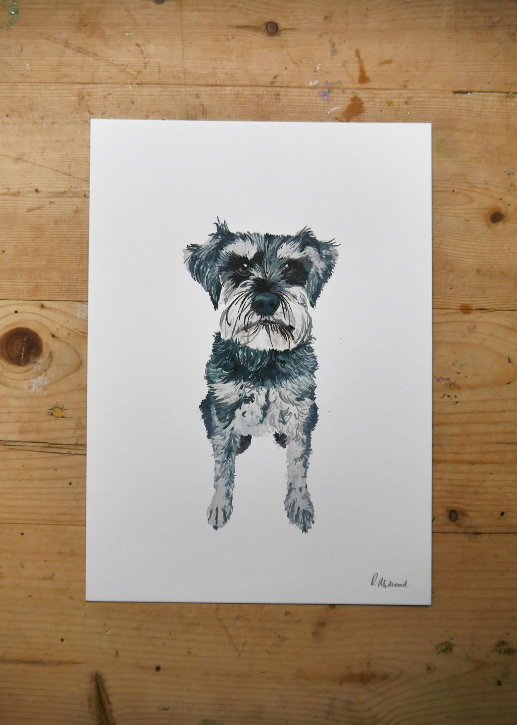Schnauzer Dog Print