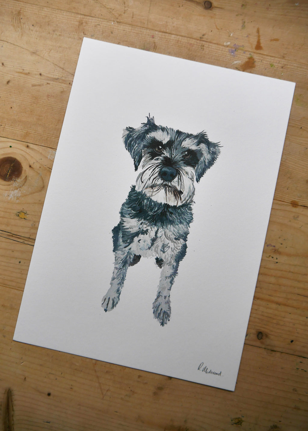 Schnauzer Dog Print