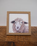 Sheep Small Framed Print