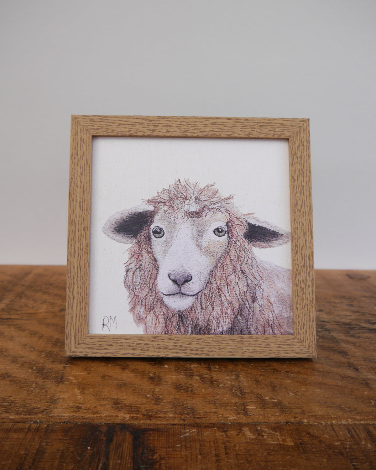 Sheep Small Framed Print