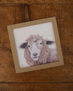 Sheep Small Framed Print