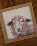 Sheep Small Framed Print