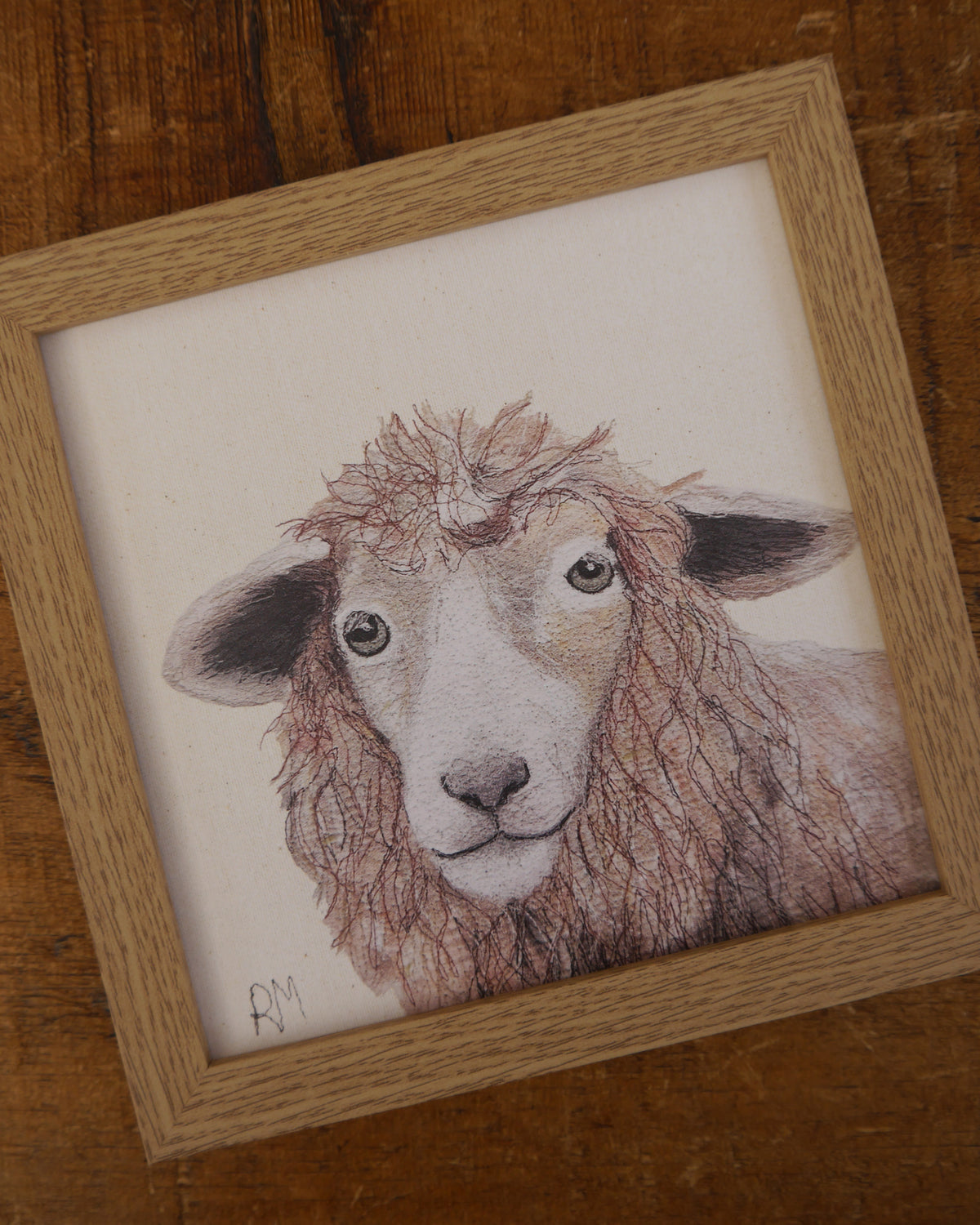 Sheep Small Framed Print
