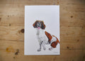 Spaniel Dog Print