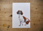 Spaniel Dog Print