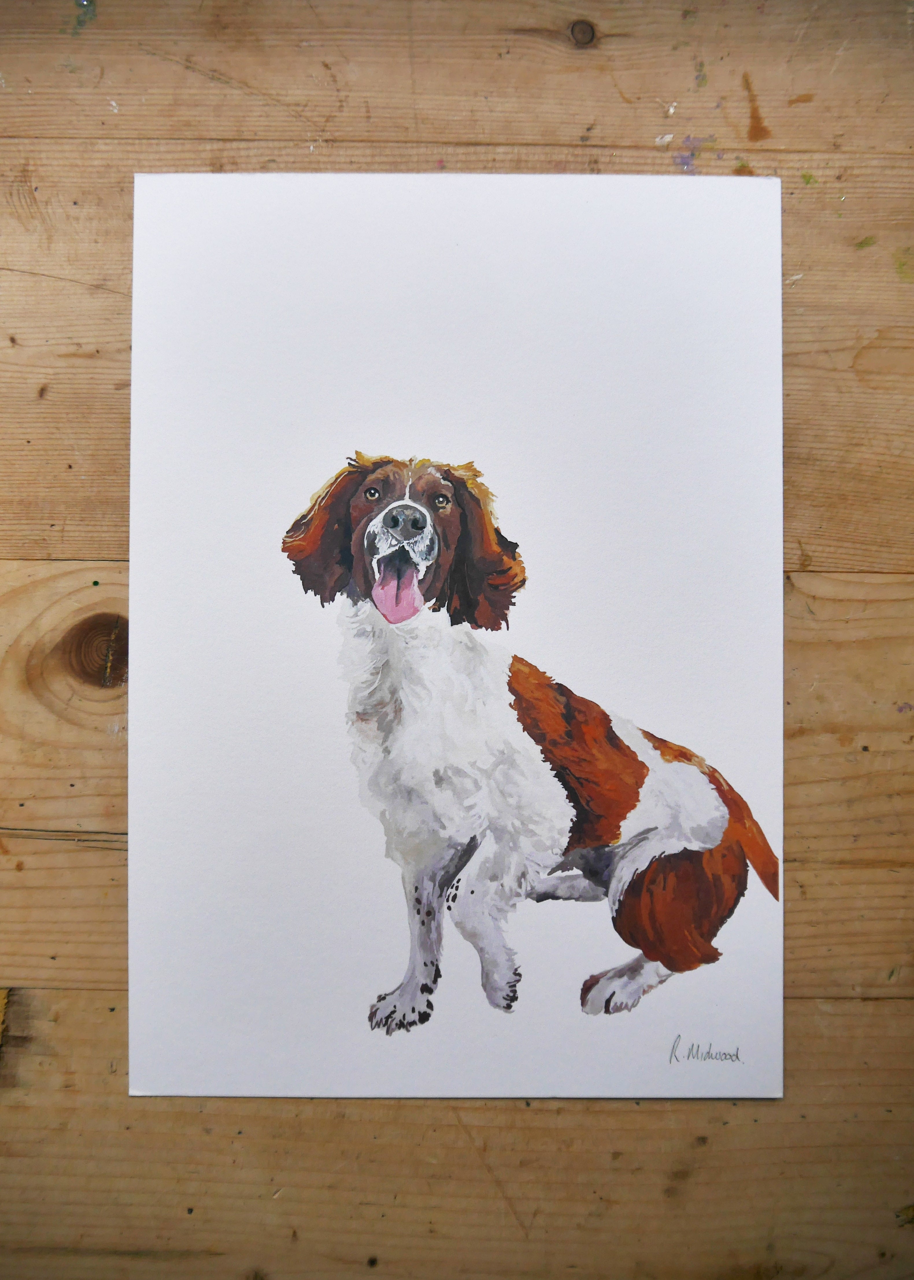 Spaniel Dog Print