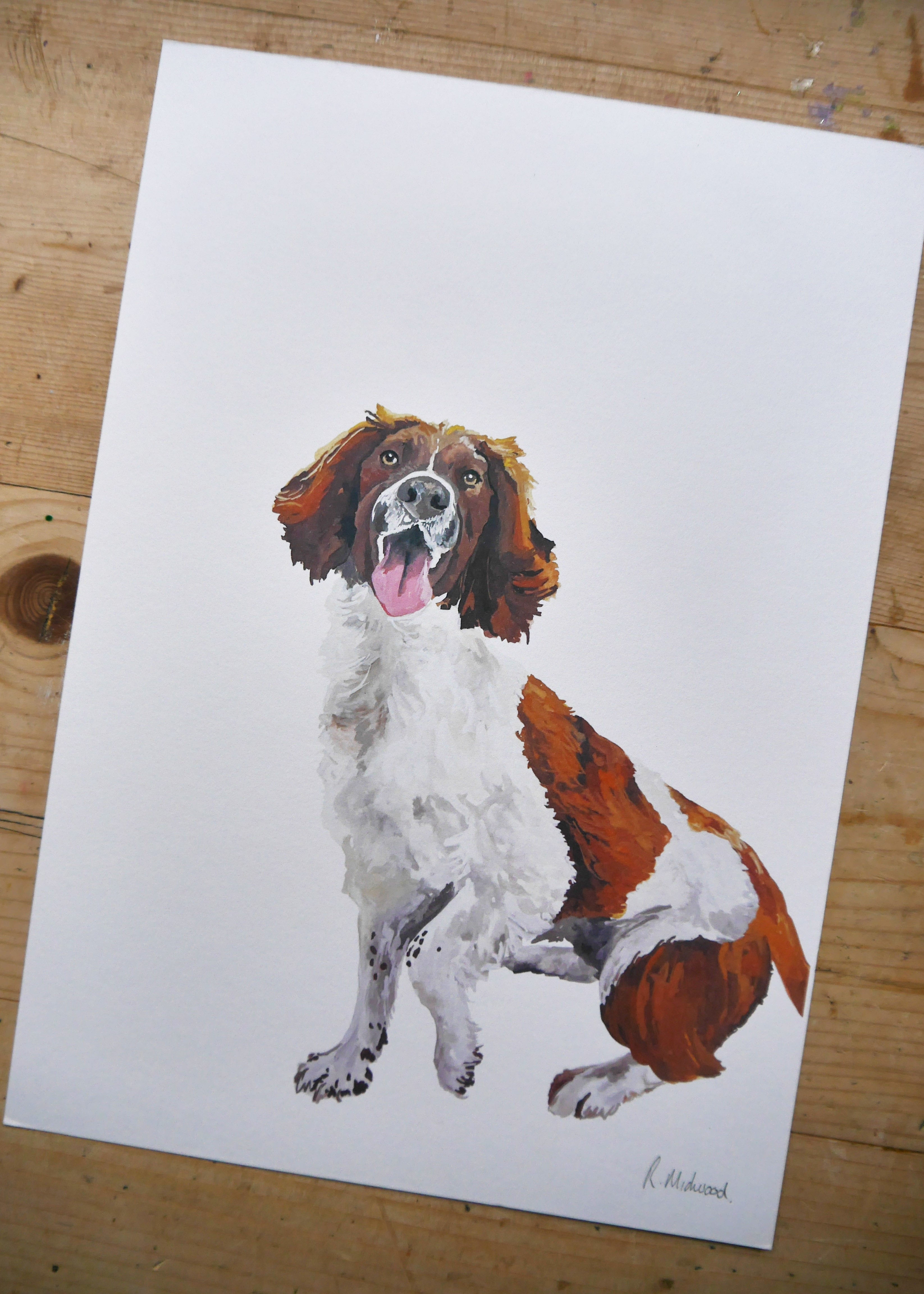 Spaniel Dog Print