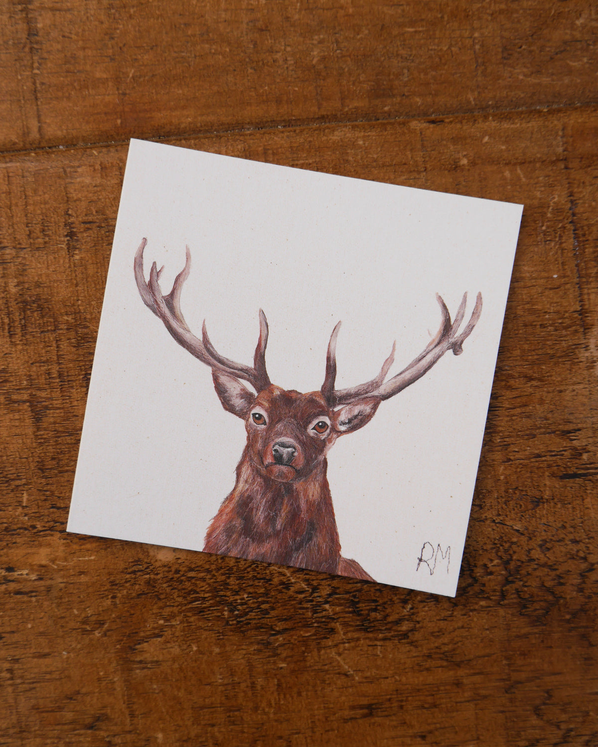 Stag Greetings Card