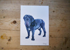 Ultimate Mastiff Dog Print