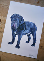 Ultimate Mastiff Dog Print