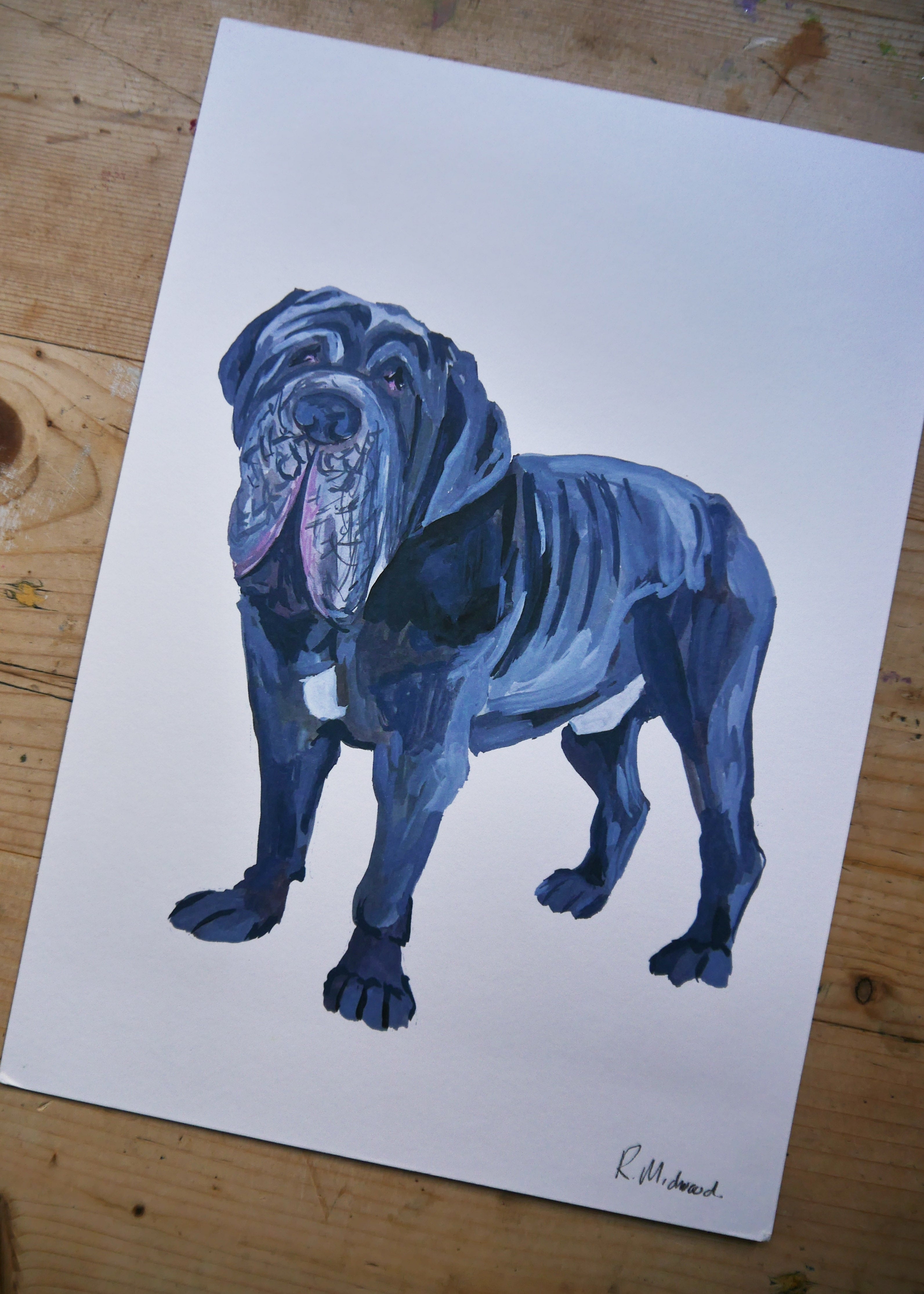 Ultimate Mastiff Dog Print