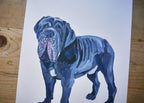 Ultimate Mastiff Dog Print