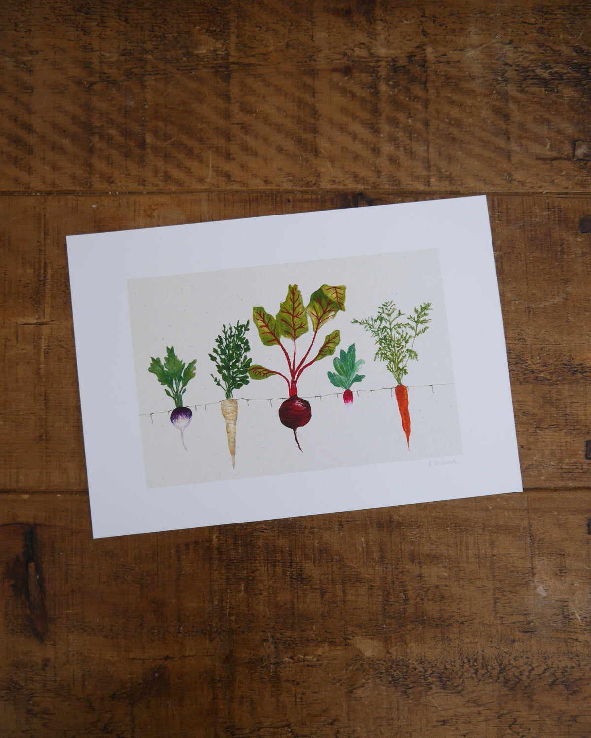 Vegetable Art Print