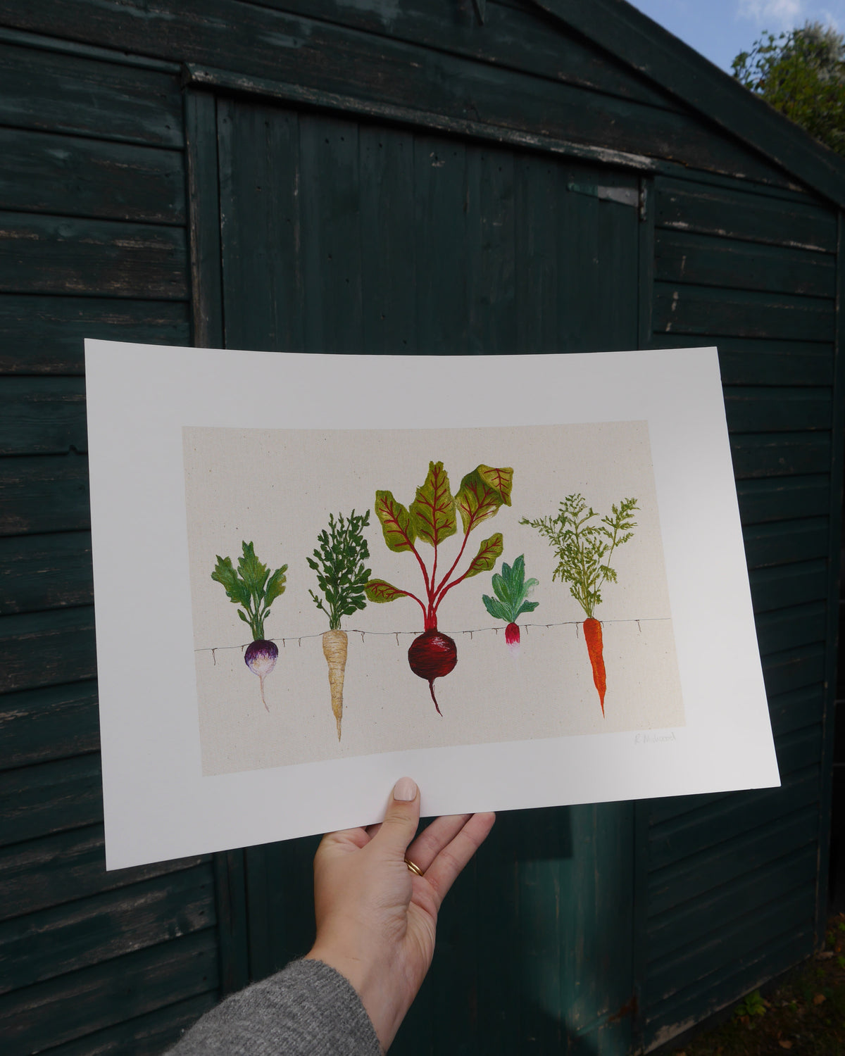 Vegetable Art Print