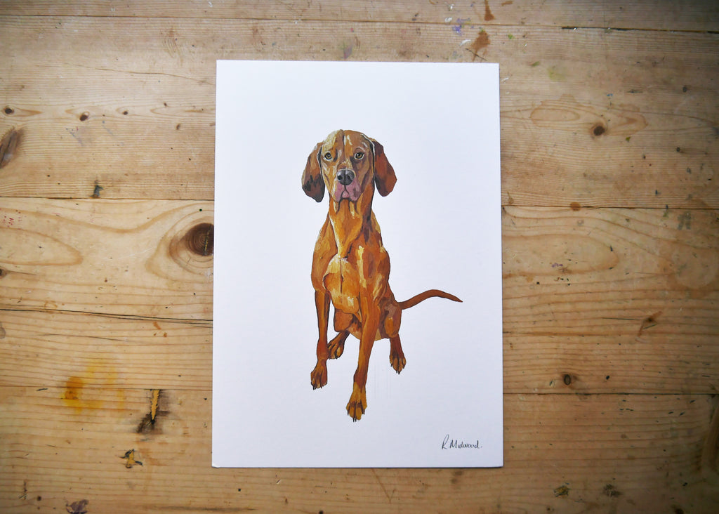 Visla Dog Print