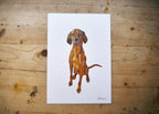 Visla Dog Print