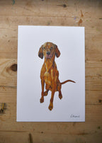 Visla Dog Print