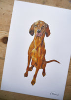 Visla Dog Print