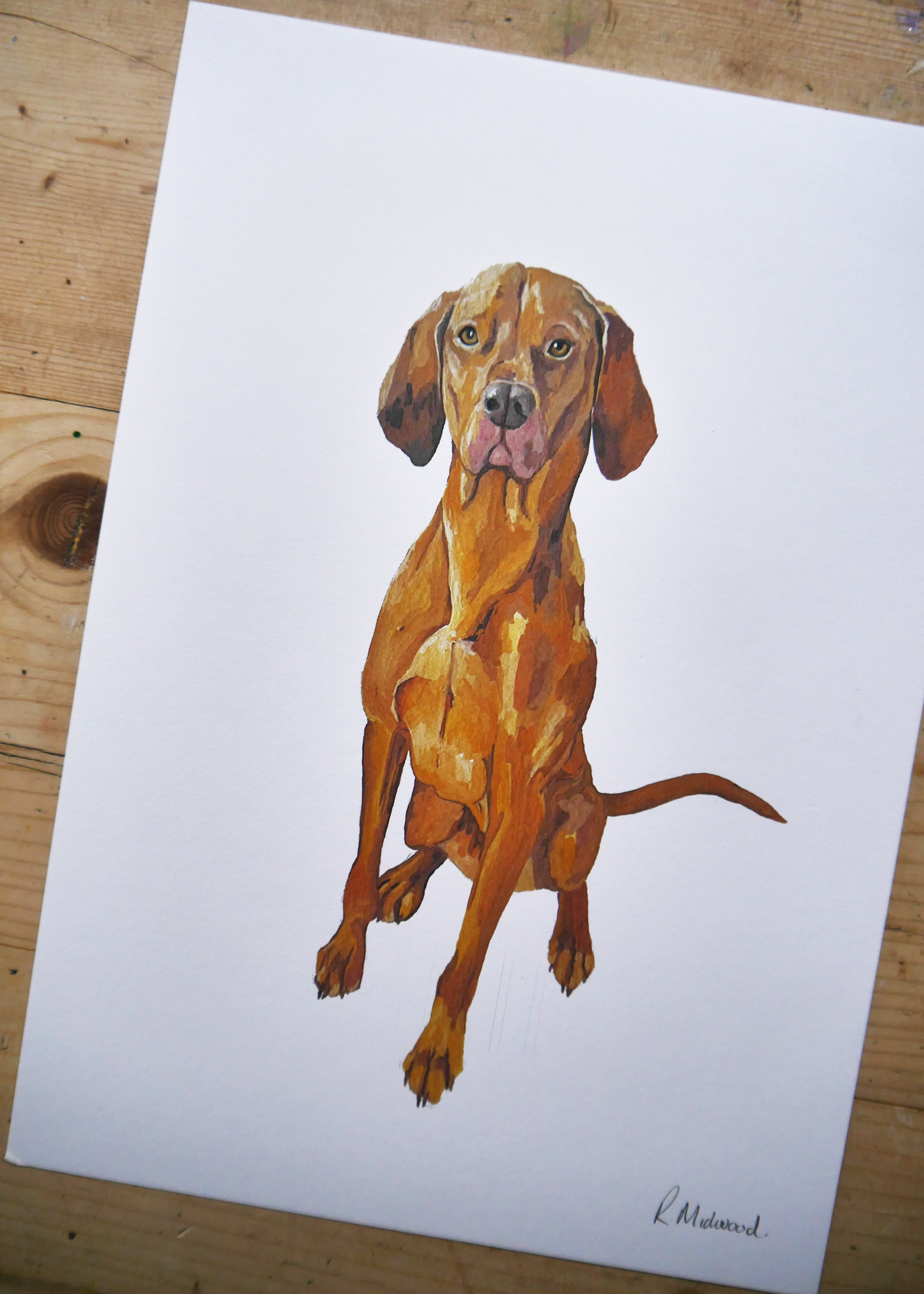 Visla Dog Print