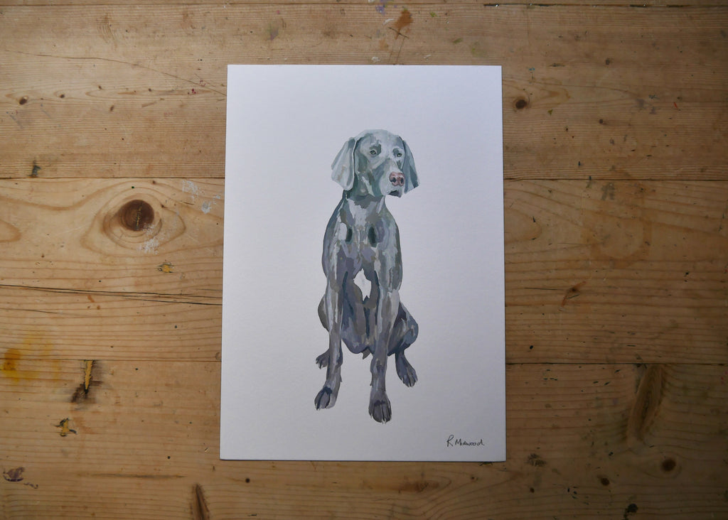 Weimaraner Dog Print