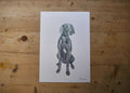 Weimaraner Dog Print