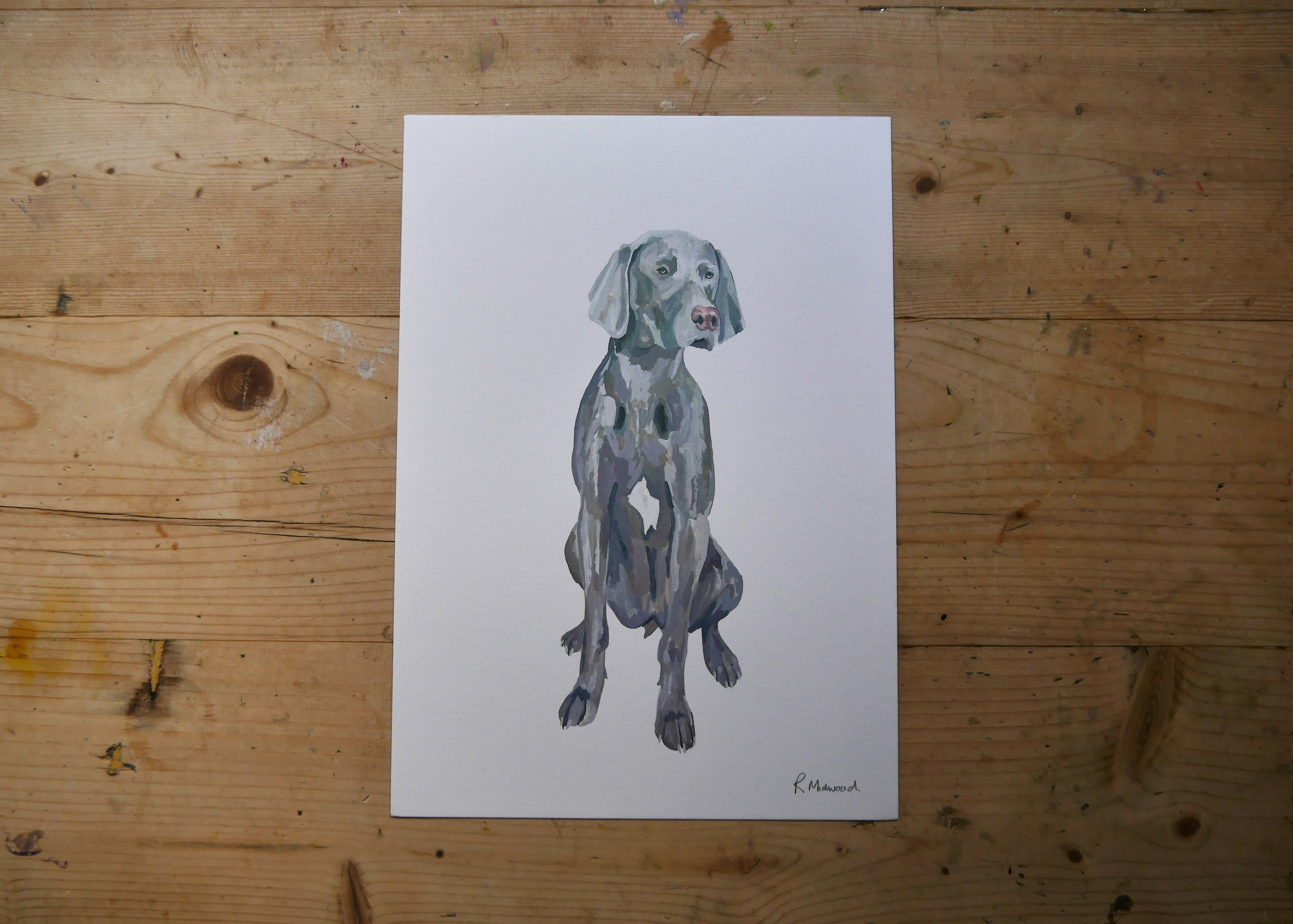 Weimaraner Dog Print
