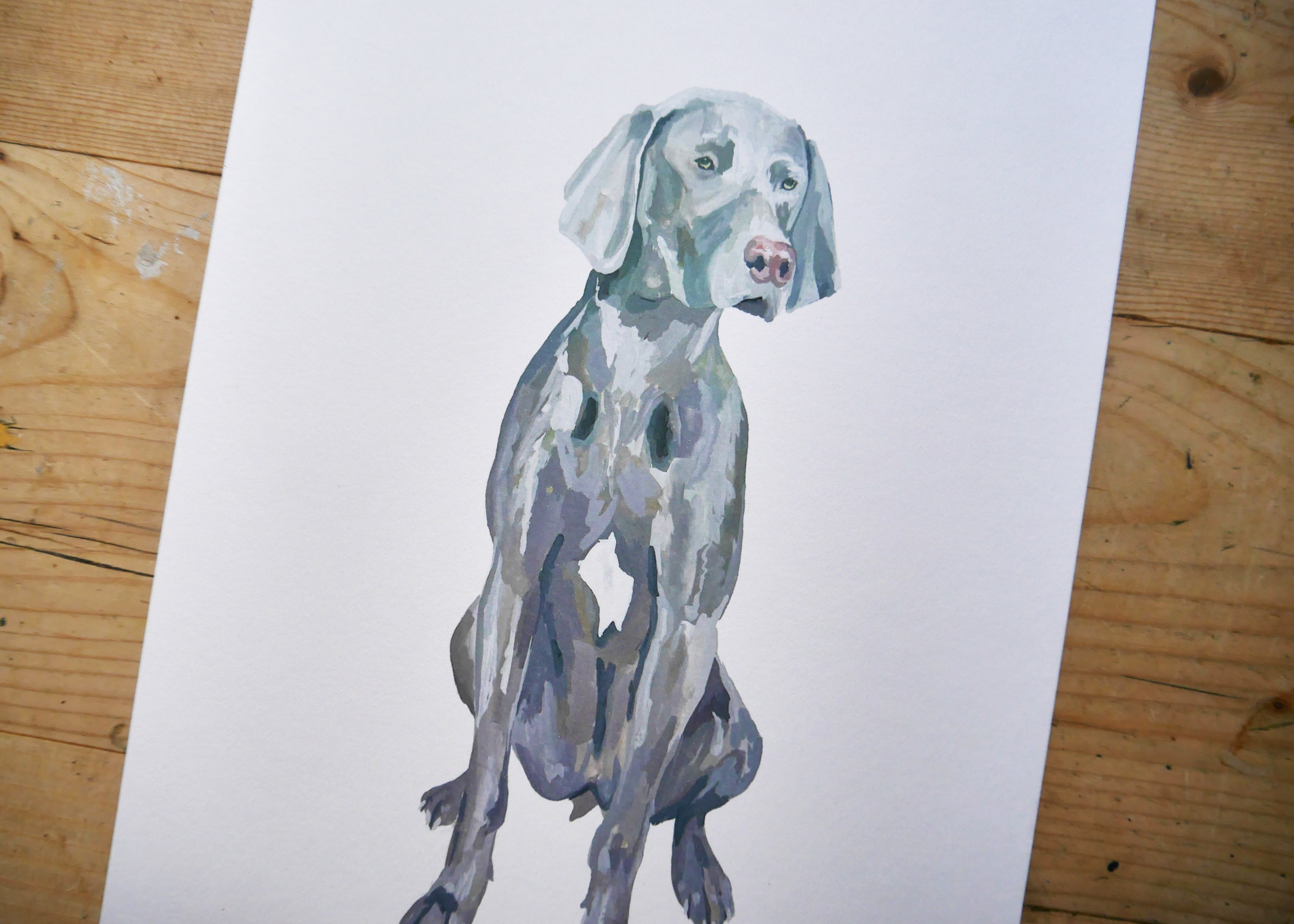 Weimaraner Dog Print
