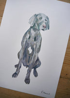 Weimaraner Dog Print