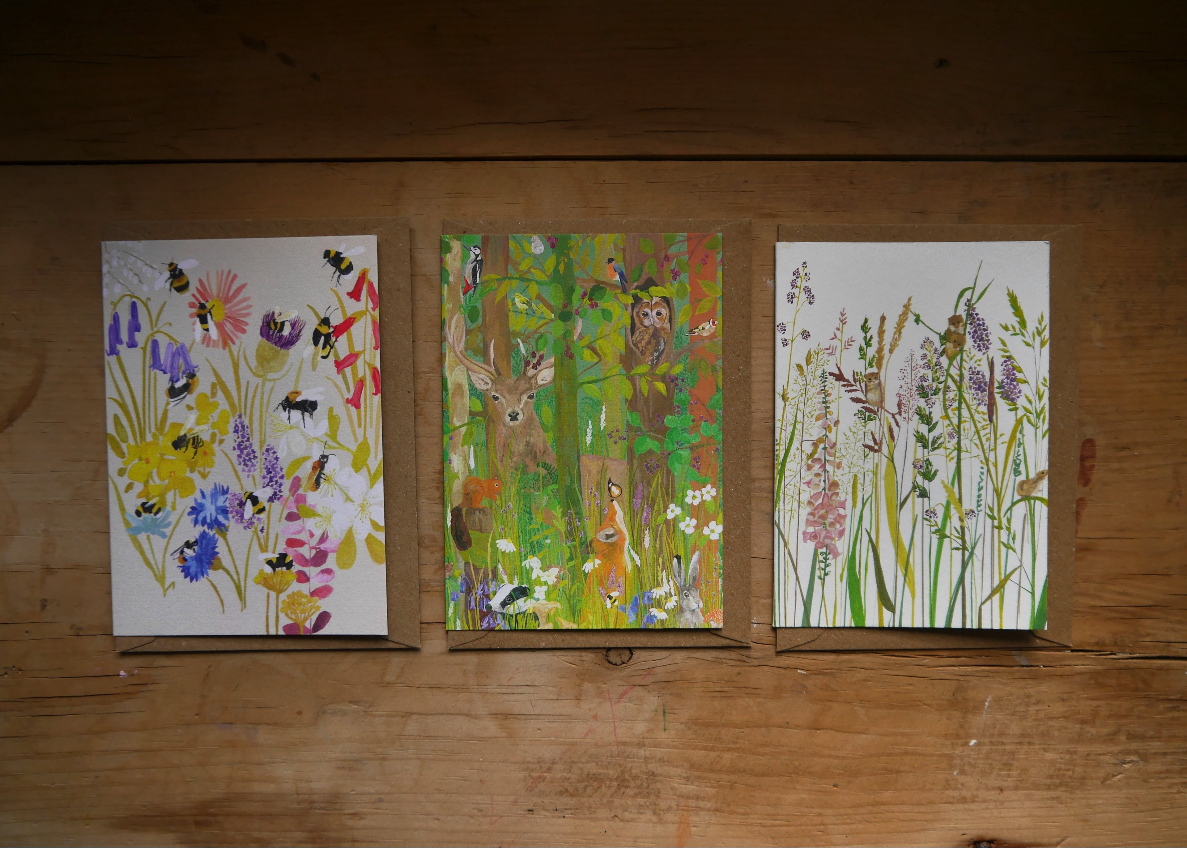 British Wildlife Greetings Card Pack