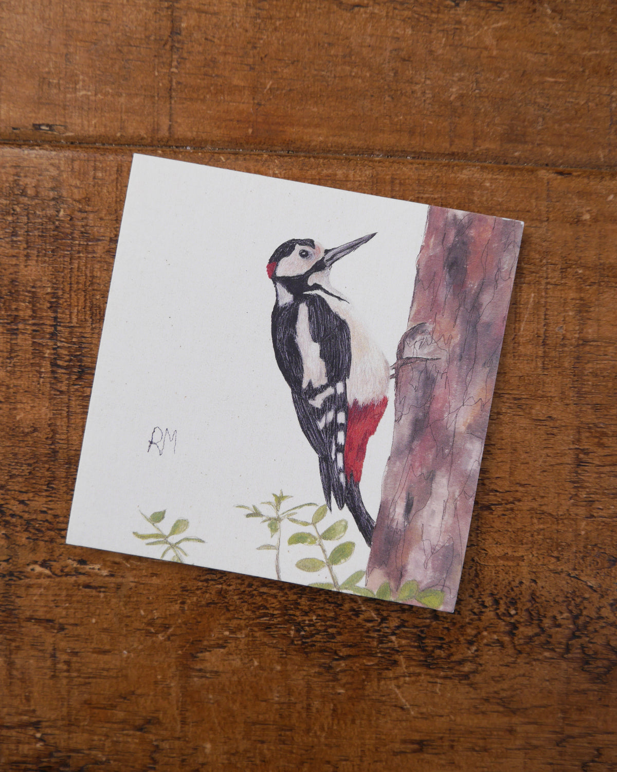 Woodpecker Greetings Card